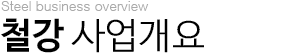 철강사업 사업개요